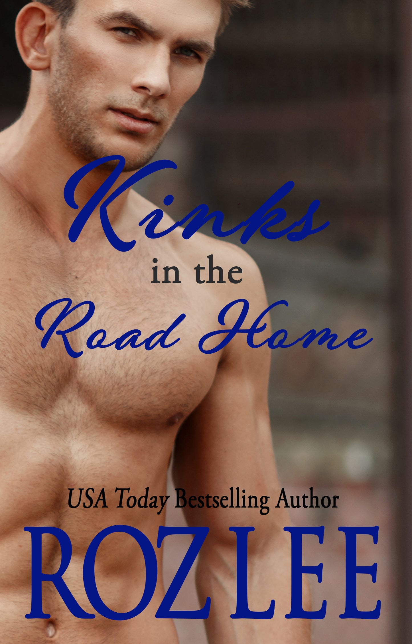 Kinks in the Road Home - Paperback
